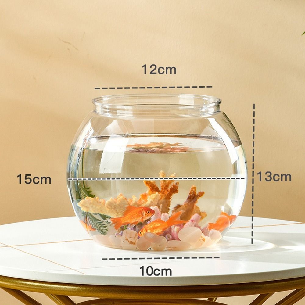 Home Decor Clear Transparent R - Luxury Lifestyle Items 리뷰 및 가격