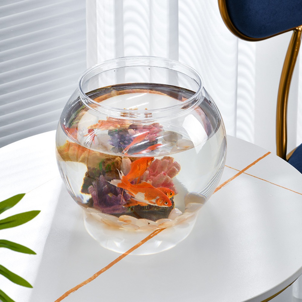 Home Decor Clear Transparent R - Luxury Lifestyle Items 리뷰 및 가격