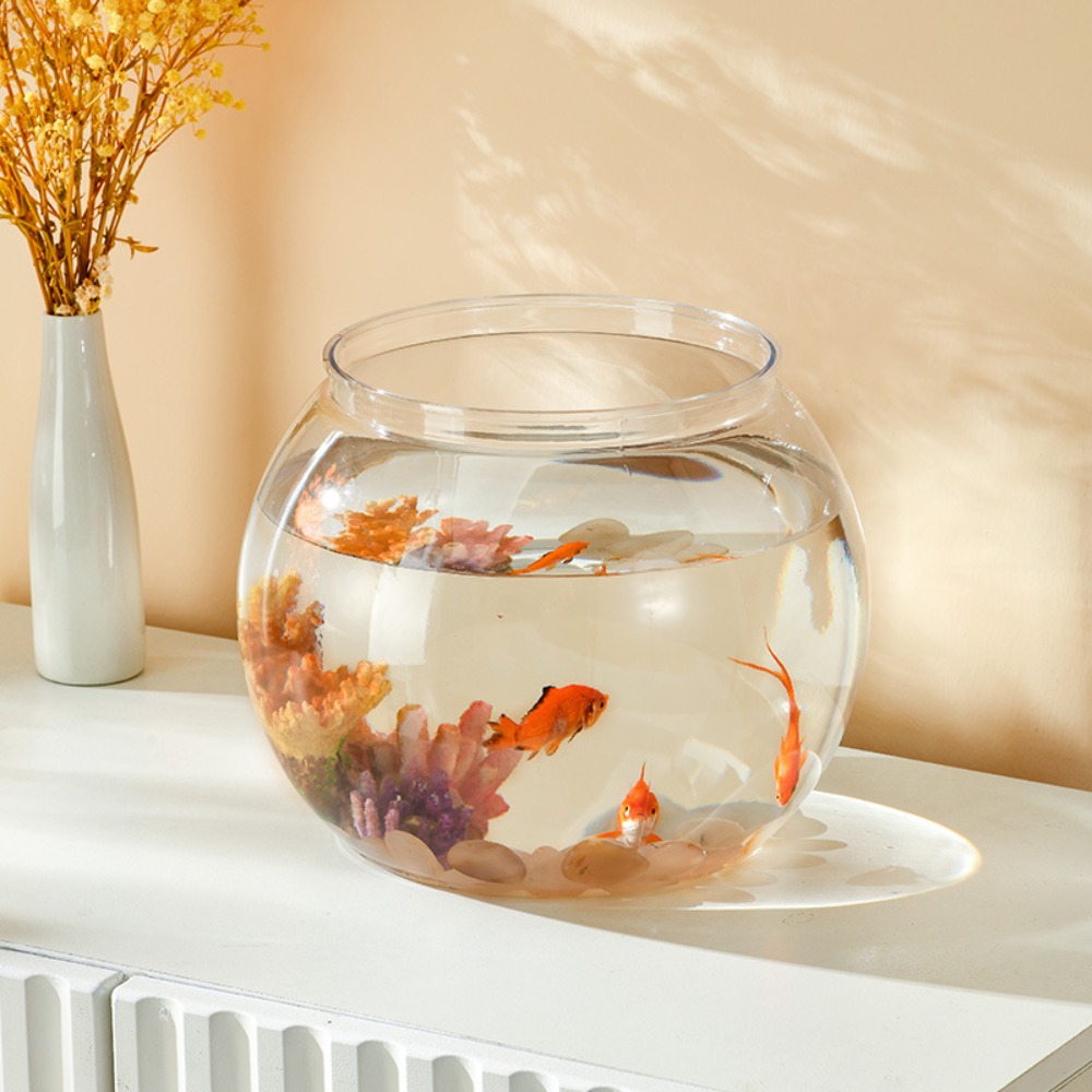 Home Decor Clear Transparent R - Luxury Lifestyle Items 리뷰 및 가격
