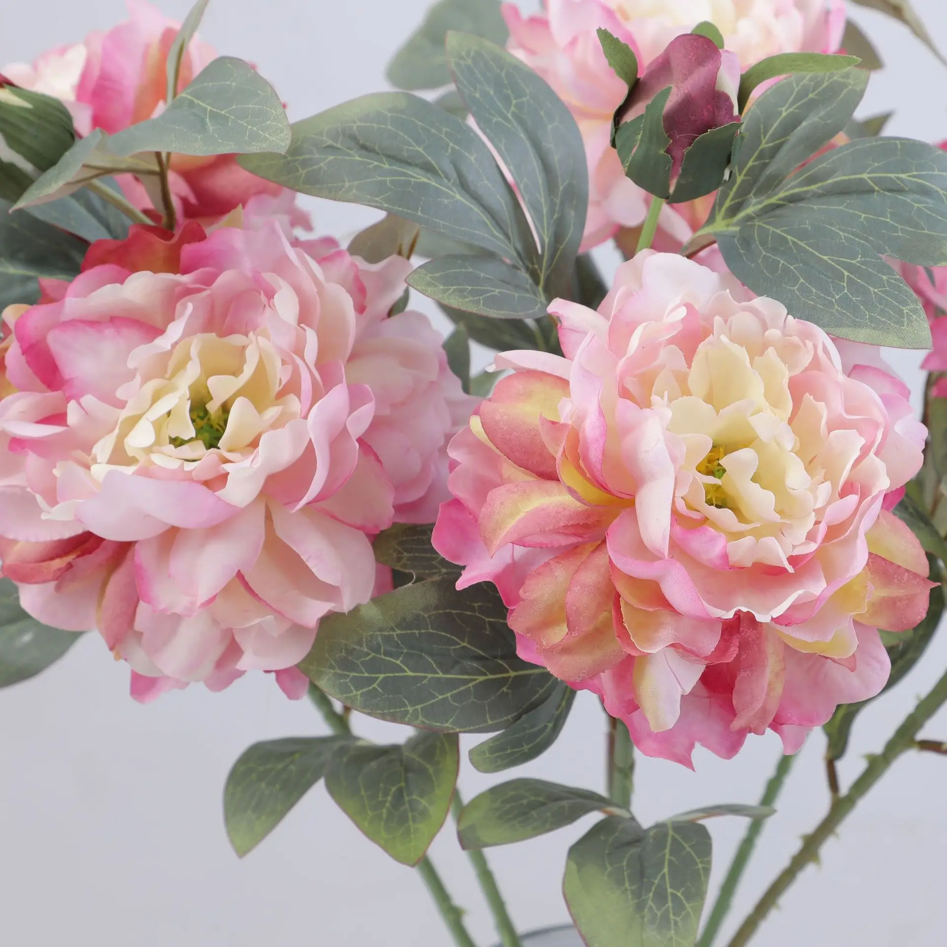Artificial Peony Flower Single - Luxury Lifestyle Items 리뷰 및 가격