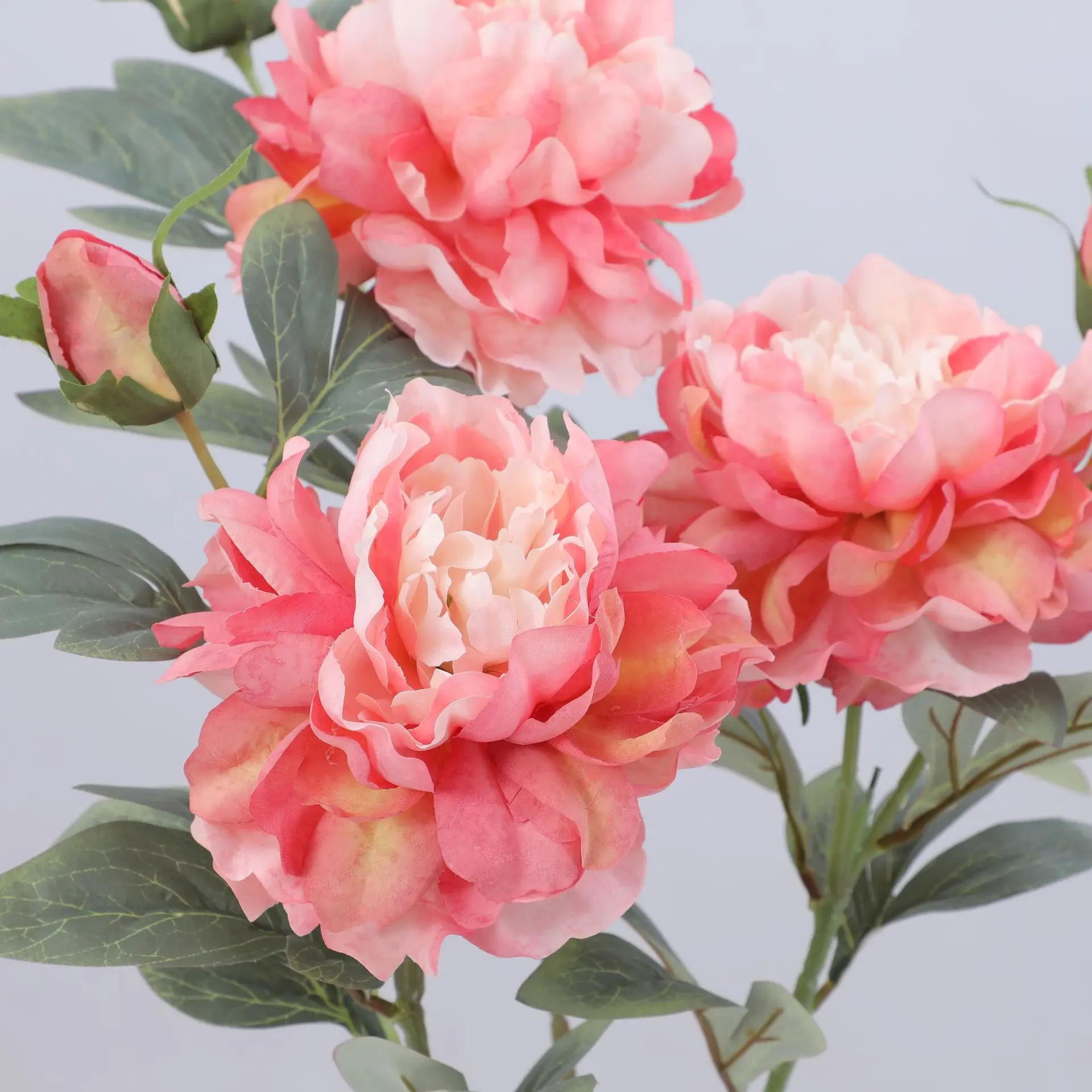 Artificial Peony Flower Single - Luxury Lifestyle Items 리뷰 및 가격