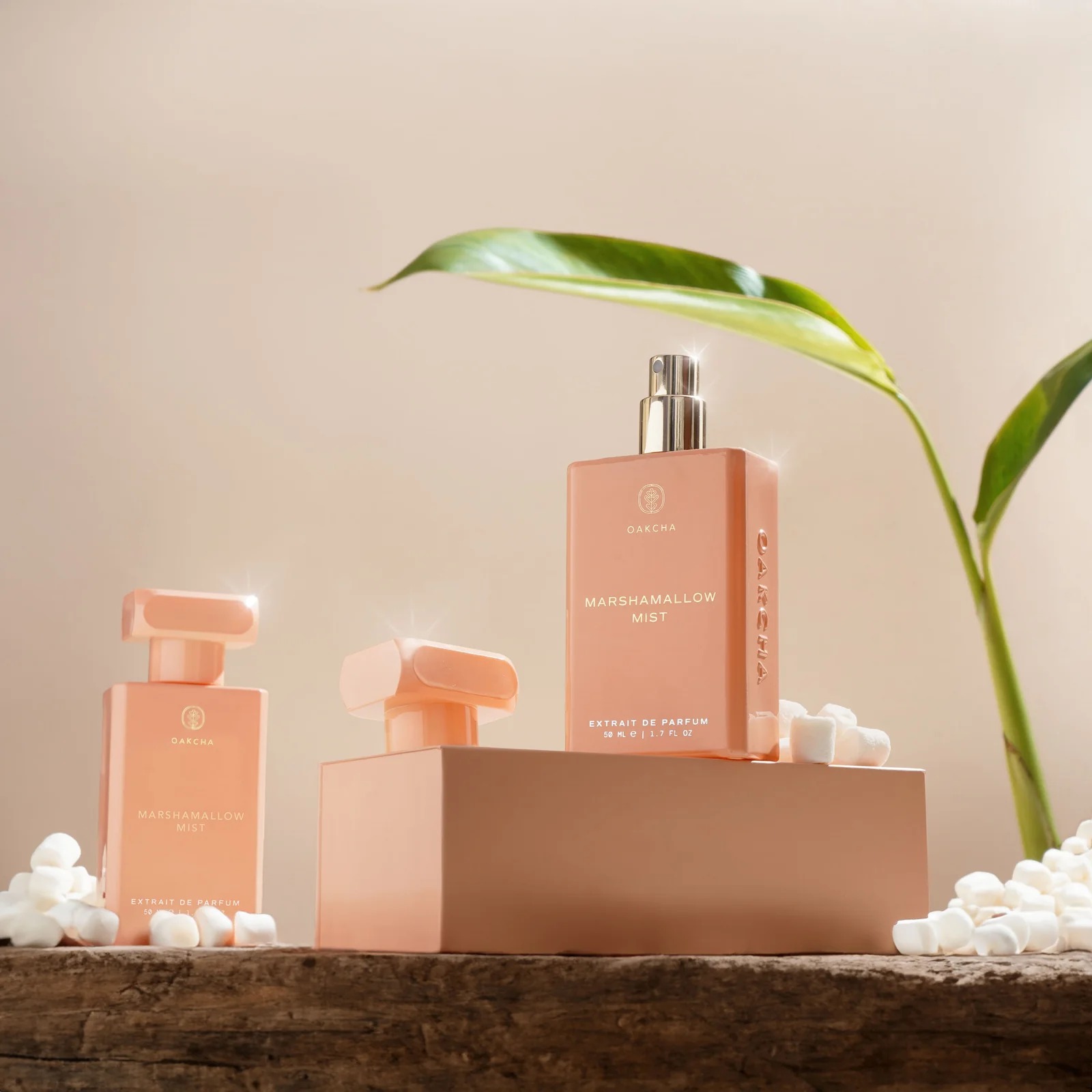 Oakcha Extrait De Parfum 50ml  - Luxury Lifestyle Gifts 리뷰 및 가격